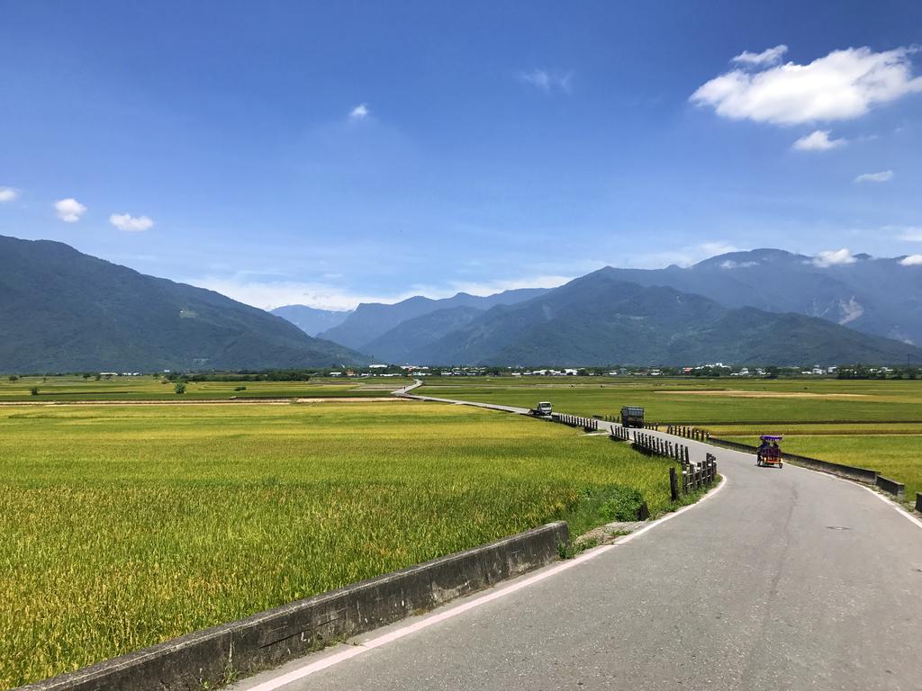 玉蟾園民宿 寵物友善 Yuchanyuan B&B Chishang Exterior foto